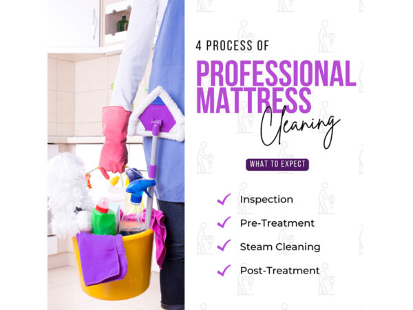 4 Process of Professional Mattress Cleaning What to Expect