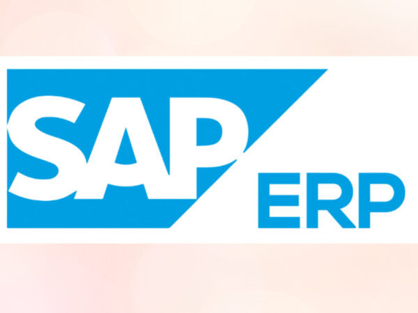 How Can ERP Solutions Help Your Business In Singapore
