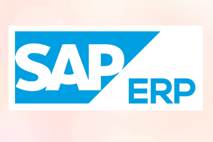 How Can ERP Solutions Help Your Business In Singapore