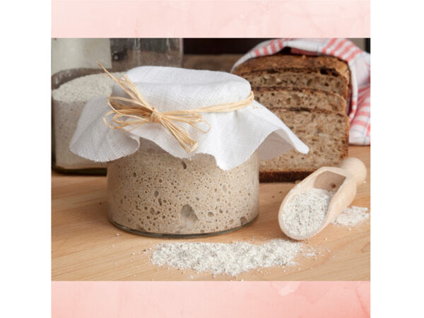 Sourdough Success A Comprehensive Guide to Sourdough Starter Kits