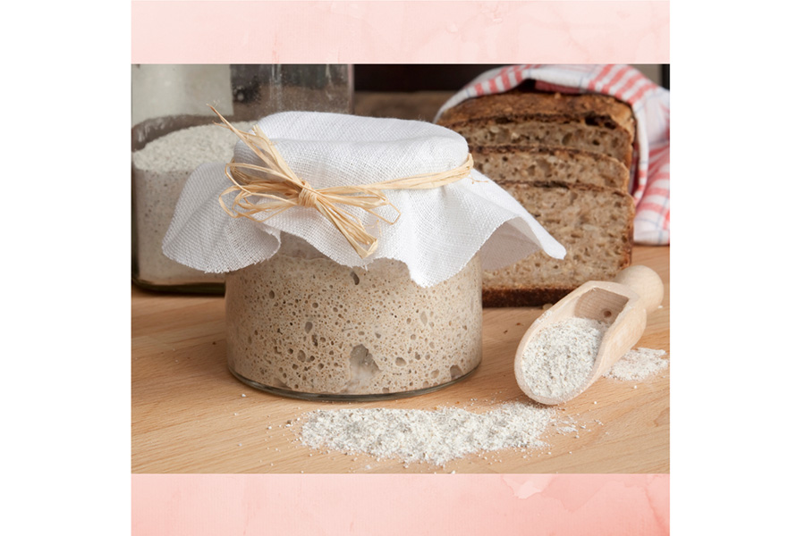 Sourdough Success A Comprehensive Guide to Sourdough Starter Kits